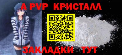 шишки Лесной